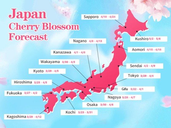 Best Time to Visit Japan in 2025