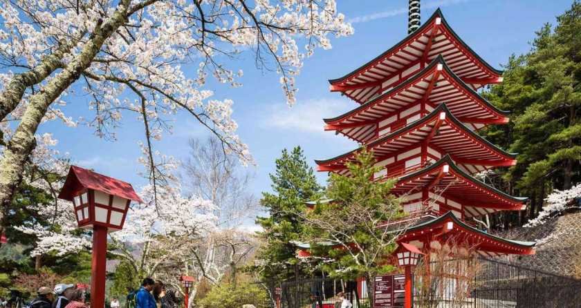 Plan a Japan Trip from India