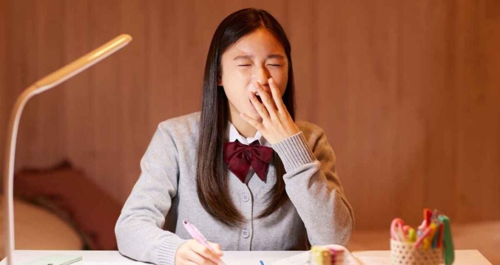 Why Indians Are Choosing Japan for Work