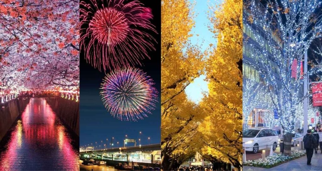 Best Things to Do and See in Tokyo in January