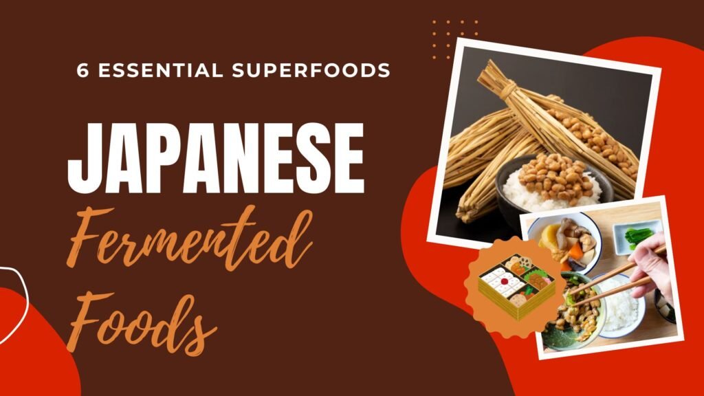 Japanese Fermented Foods